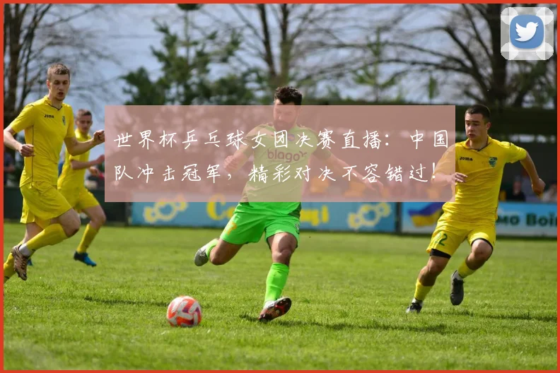 世界杯乒乓球女团决赛直播：中国队冲击冠军，精彩对决不容错过！